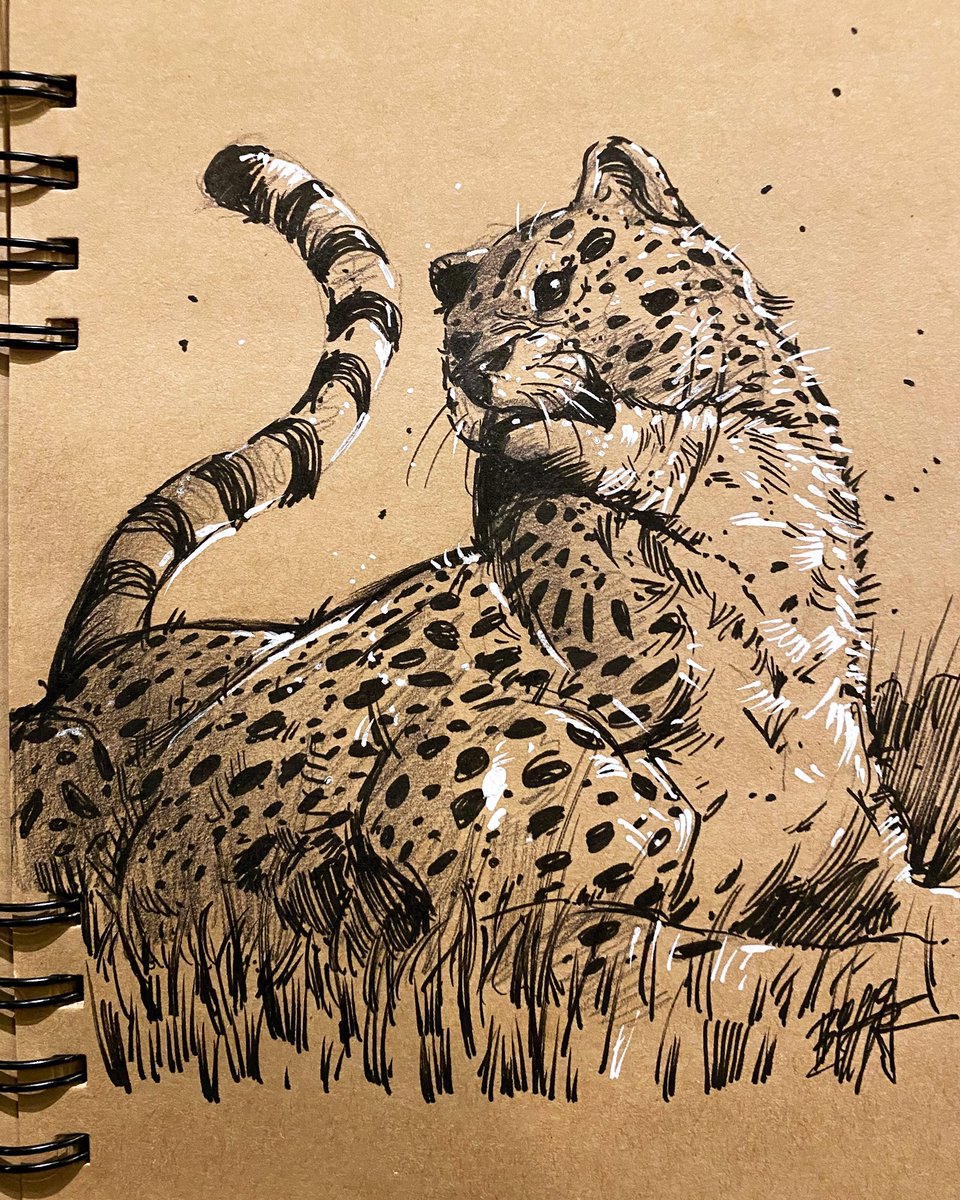 Artstudiobashar's tweet photo. Daily inking!!  #dailysketch #art #dailyinking #quickink  #crosehatching #basharart #zurich #olten #ink #samurai #oltenbahnhof  #manga #comic  #art #bern #traditionalist #superhero #mangaart #artwork #crosshatch #dccomics #marvelcomics #comicart #comicbooks #leopard https://t.co/DprM2QoQU0