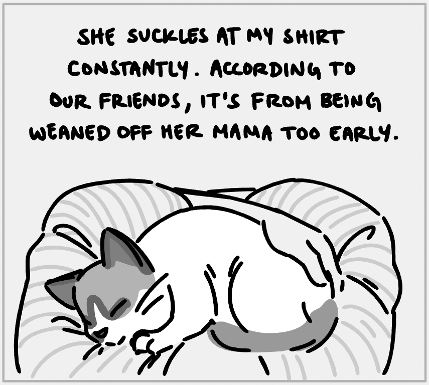 a little comic about my new kitty 