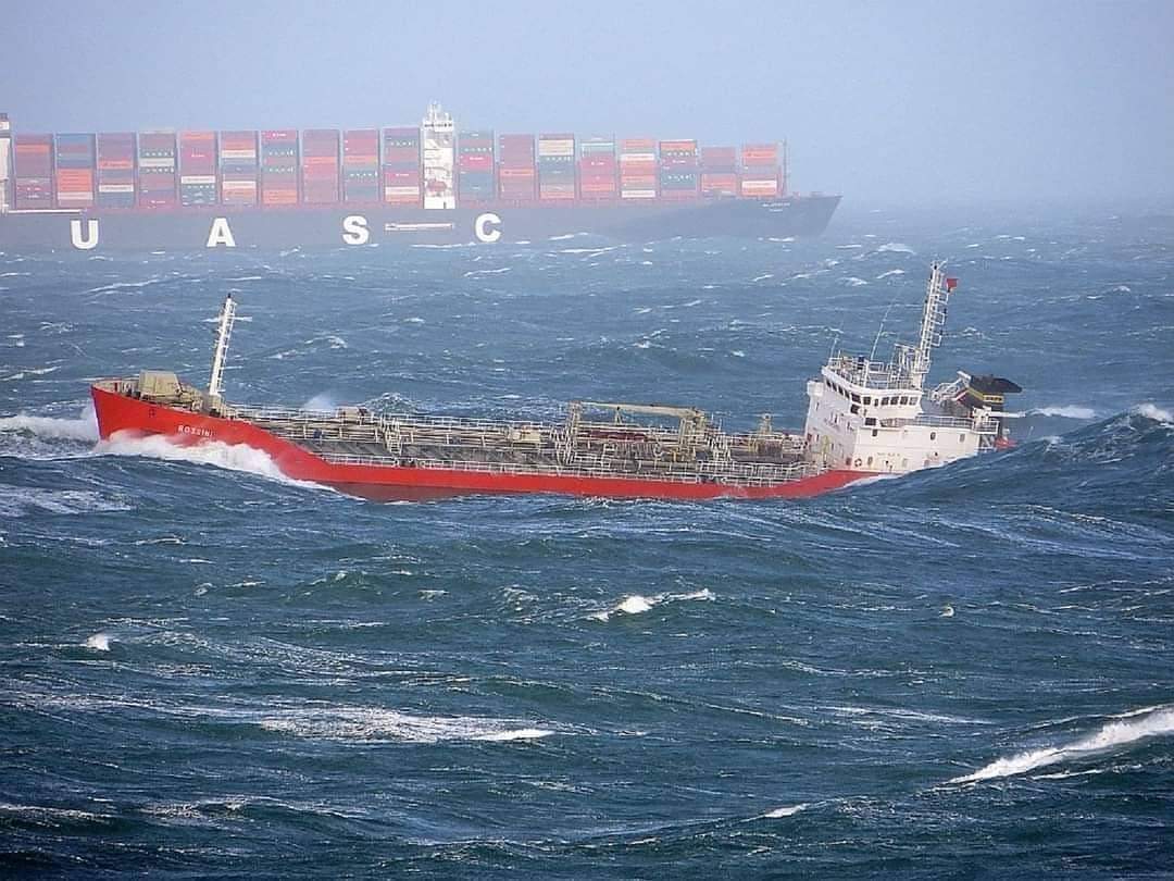 Humansatsea's tweet photo. https://t.co/88H4mVuBbX