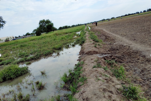 alsopeca's tweet photo. Although flood waters have taken over much of Akobo, one community managed to protect part of their land by building a dyke which has helped them adapt to #climate shocks. Part of Food Assistance for Assets which supports over 1000 households in the county https://t.co/agGl5tr8Sp