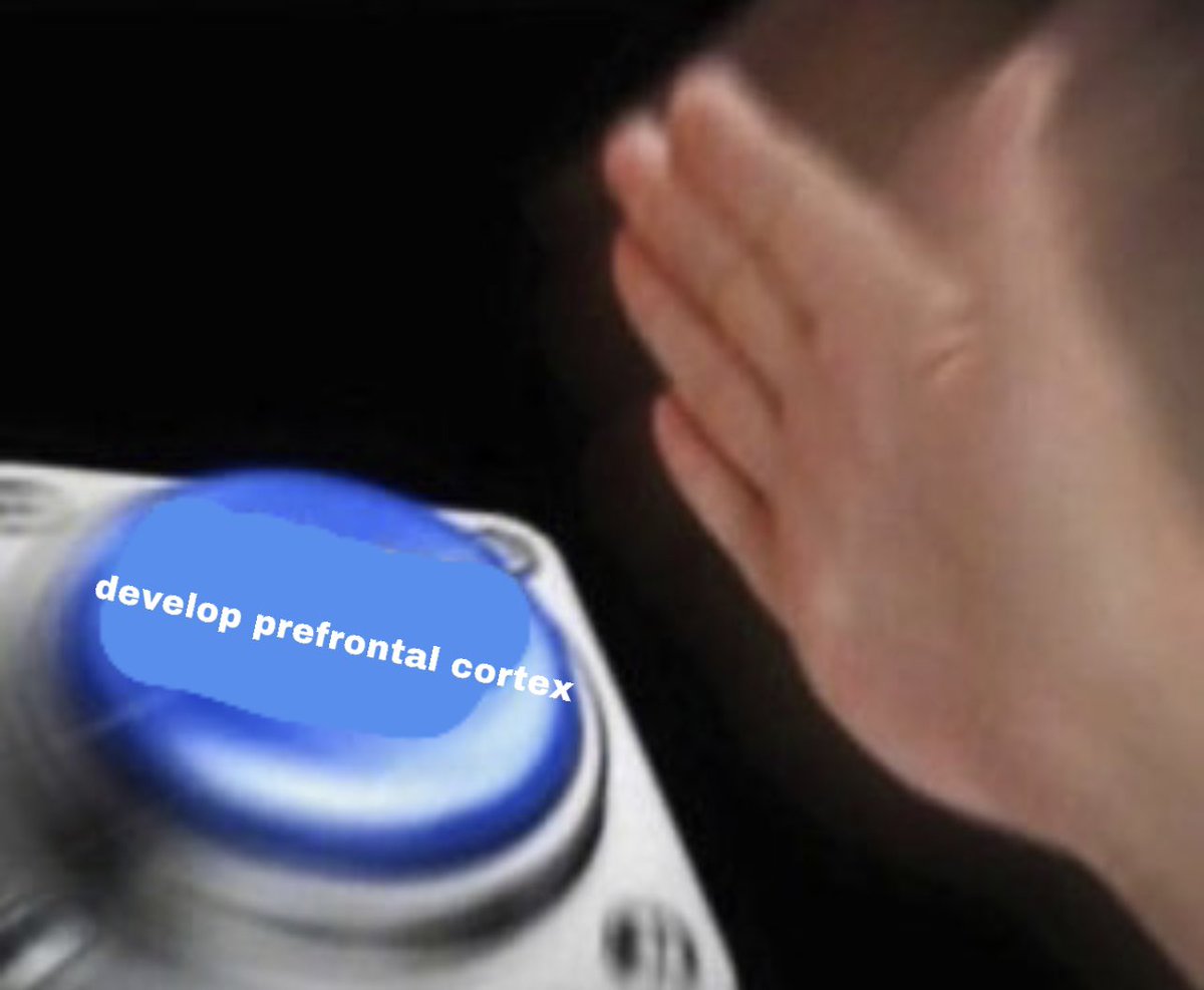 loveontoursh's tweet image. #prefrontalcortex