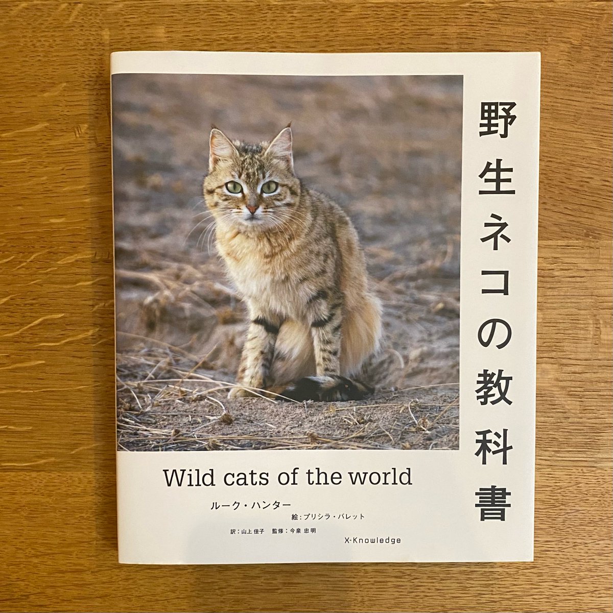 WRC的ブックガイド 16】 『野生ネコの教科書』ルーク・ハンター ネコ科