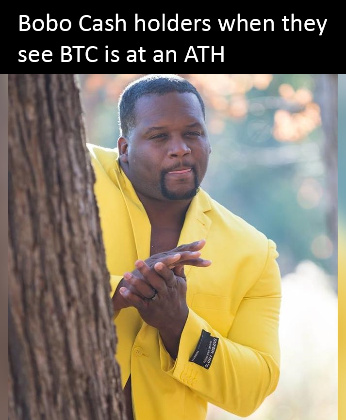bobocashcom's tweet photo. Everything is moving according to plan.

$BTC #bitcoin broke its #ATH. 

Many believe #memecoin season came before BTC season in this market cycle - they're wrong.

Just wait until the mania phase. 

#BoboCash is already getting new followers and holders!

#LPLOCKED #NFT #NFTs https://t.co/GMigmZIYRX