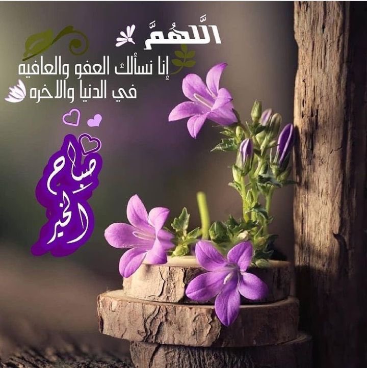 عبدالسلام حمزة صيرفي الإدريسي (@thvm0dwjlrgddez) on Twitter photo 