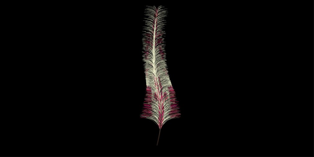 FeatherNFT - Mint NOW on SOL tweet media