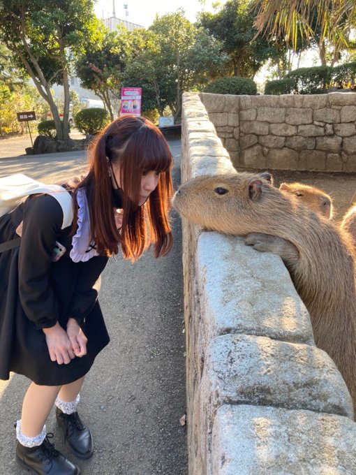 コスプレイヤーちりめんじゃこ太のTwitter画像17