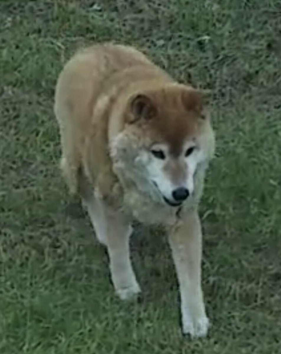 R 美容垢 (@ddd_bbb_5656) on Twitter photo 