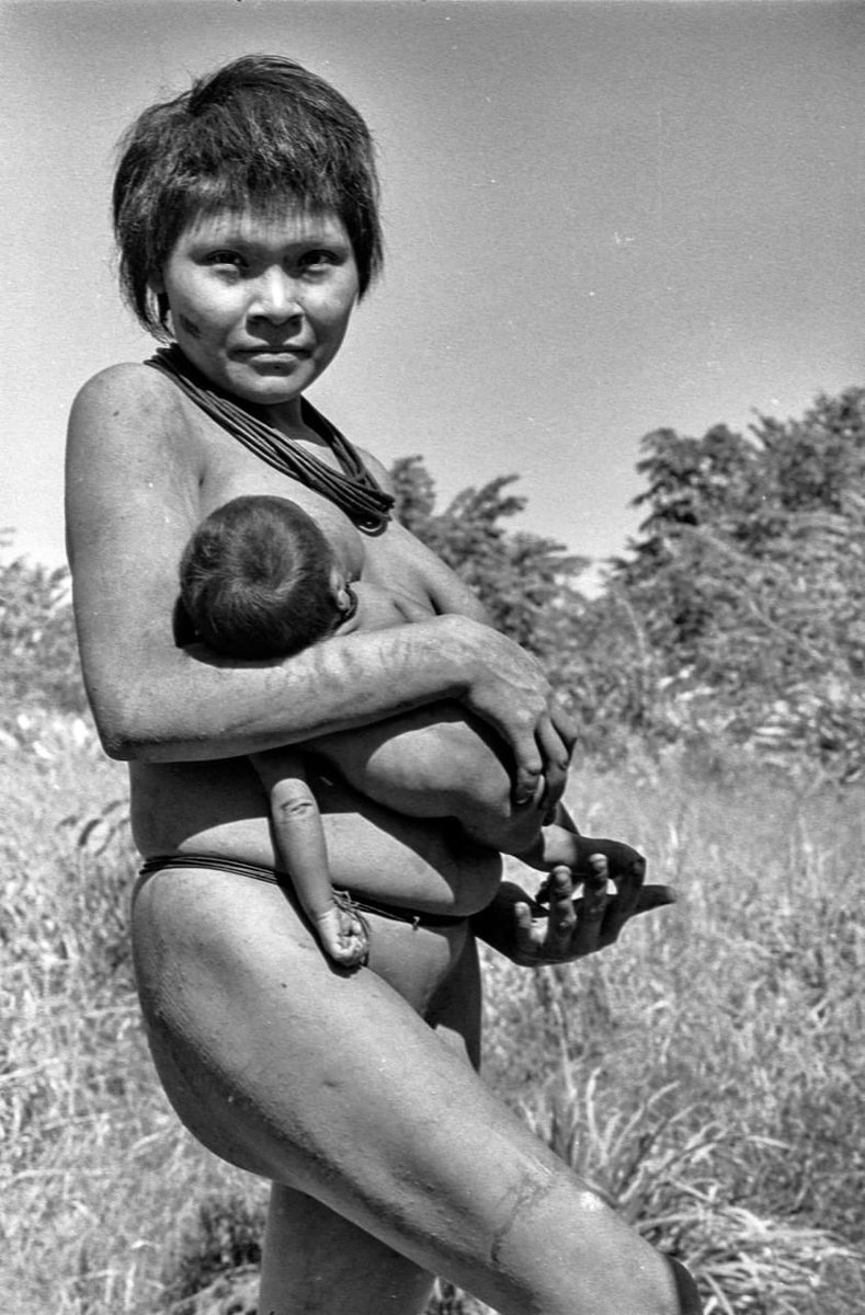 HDelhumeau's tweet photo. @verticalcrypto Hey Micol, let me share a picture taken in 1969 during the first contact of #Amazonian #surui & #cintalarga Tribes with the “so called” Civilization. Historical Collection to be presented soon by @Augusto47529918 @oyxabaten @lucianoducirilo & @MONOGRAMA_NFT ❤️ https://t.co/3VR0KTuxZ8