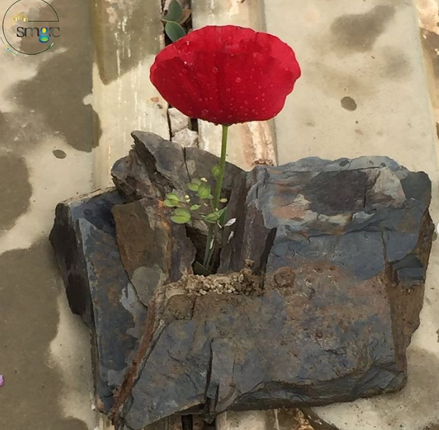 SmgrcUok's tweet photo. 🌼The best teachers teach from the heart, not from the book.

🍀Thank you for being wonderful teachers.

🎈Happy Teacher's Day to all Teachers in SMGRC at University of Kurdistan! https://t.co/RMceG1oUVy