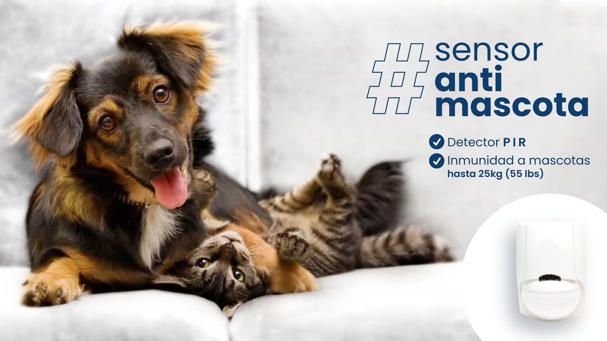 BristeSecurity's tweet photo. Sensores infrarrojo ANTIMASCOTA🐶🐱para tu hogar🏠🏠

✅Cuenta con inmunidad  mascotas hasta 25 kg
✅Detector PIR

#sensores #briste #Security #PIR #mascotas https://t.co/kuM9Pgq1d2