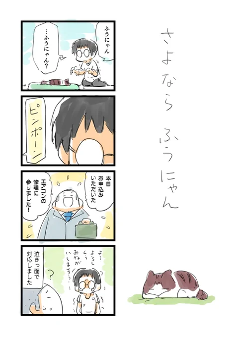 先月飼っていた猫が亡くなって、僕も死んだみたいになっていたんですけどようやっと落ち着いてきました。
年末の大掃除に合わせてトイレとかも片付けようと思います。さよならふうにゃん。 