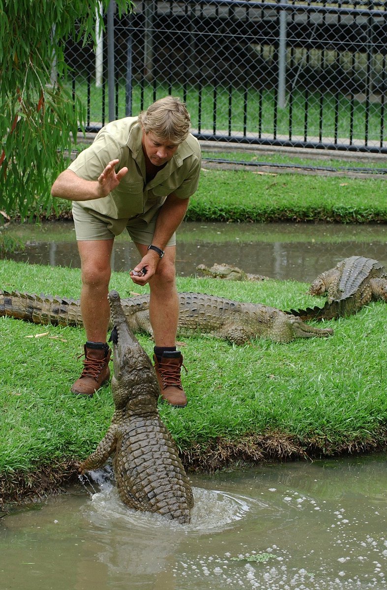 AustraliaZoo's tweet photo. On Steve Irwin Day, November 15, we invite you to celebrate his life &amp; legacy with us here at #AustraliaZoo. Wherever you’re celebrating in the world, wear your best khaki and share some of Steve’s enthusiasm for just how wonderful our natural world is🤎 https://t.co/fzSjU9SMAe