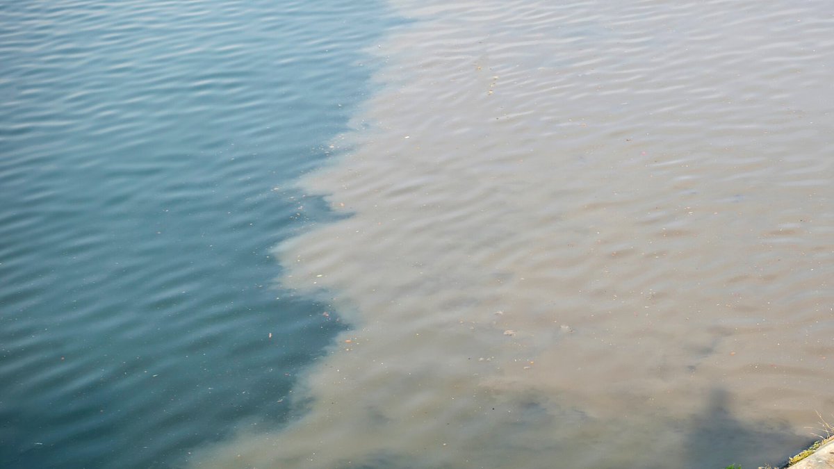 paddle_uk's tweet image. #EndSewagePollution update 📢 We’re disappointed to see the government vote against the #DukeOfWellington’s stronger sewage amendment last night in favour of their own. (1/3)