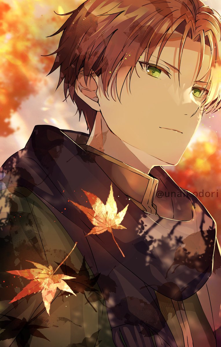 1boy male focus green eyes solo scarf brown hair autumn leaves  illustration images