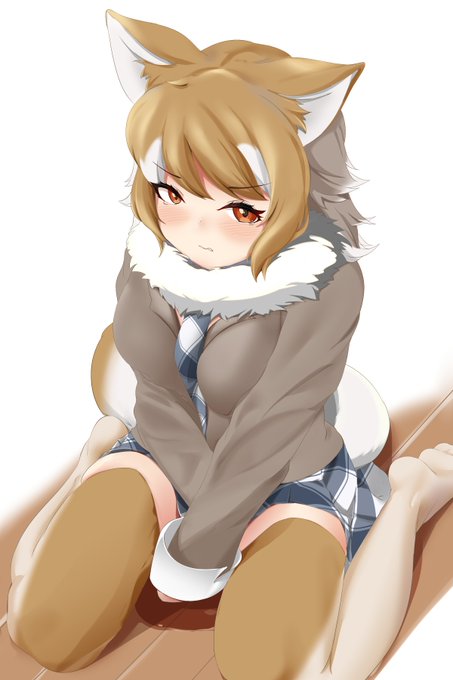 イタリアオオカミちゃん
(Skebリクエストありがとうございました!) 