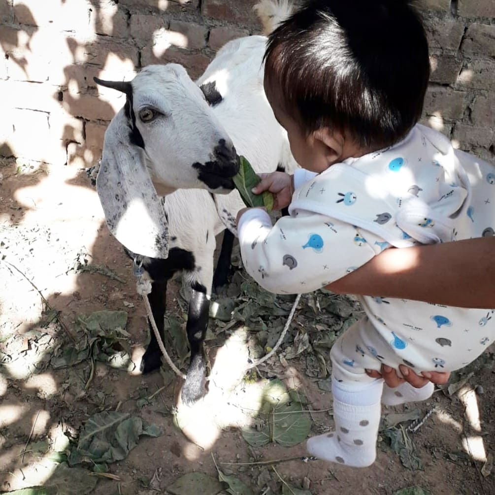 a4aamiriqbal's tweet photo. She is practicing "Daily Act of Kindness" 💖
As Seneca said, "There is no enjoying the possession of anything valuable unless one has someone to share it with."
Are you kind today?
What are you sharing today?
What's your act of kindness for today?

#actofkindness https://t.co/LSrqvNcKtP