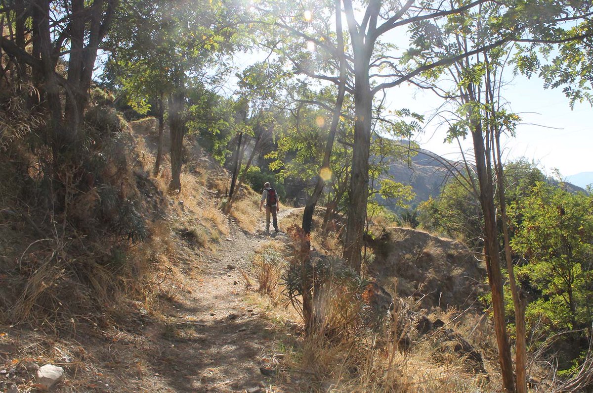 GoGranadaSpain's tweet photo. Autumn in Granada: Walking in the Alpujarras https://t.co/WRVS72FMrv https://t.co/Ossb2wRODp