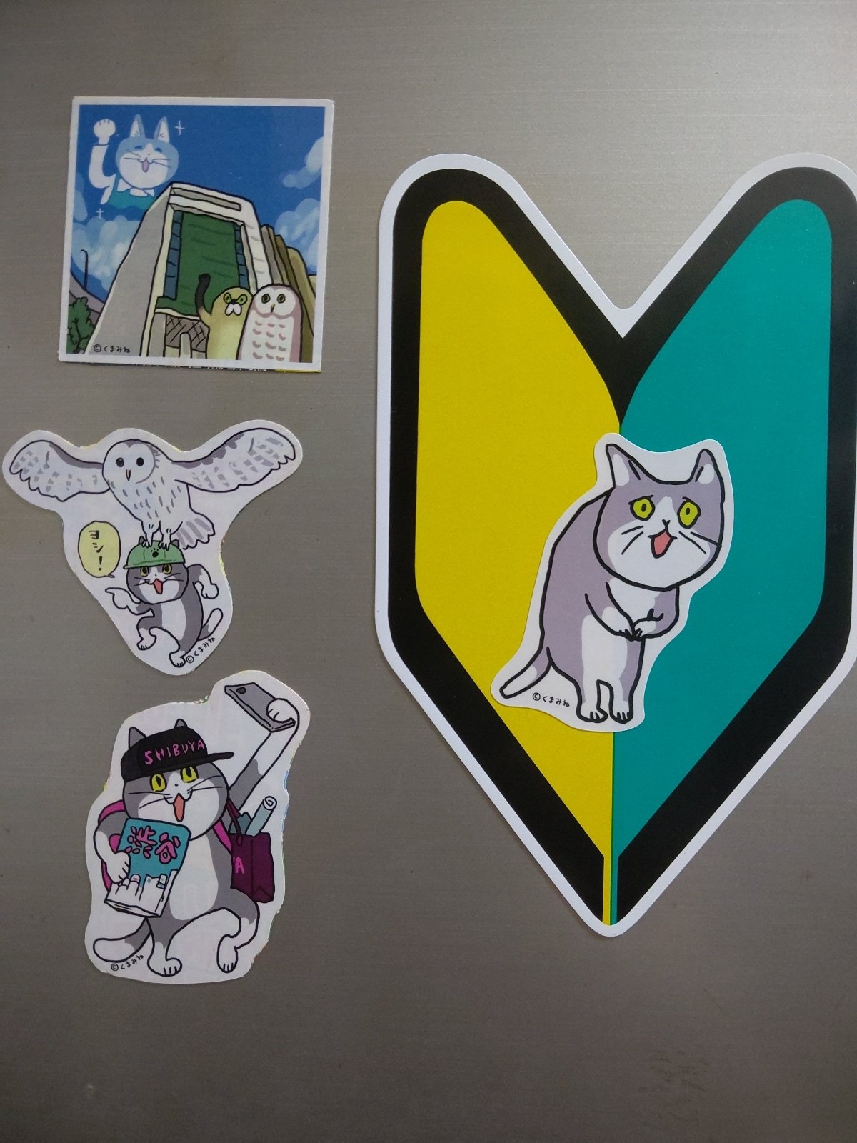 これから叱られる猫 Twitter Search Twitter
