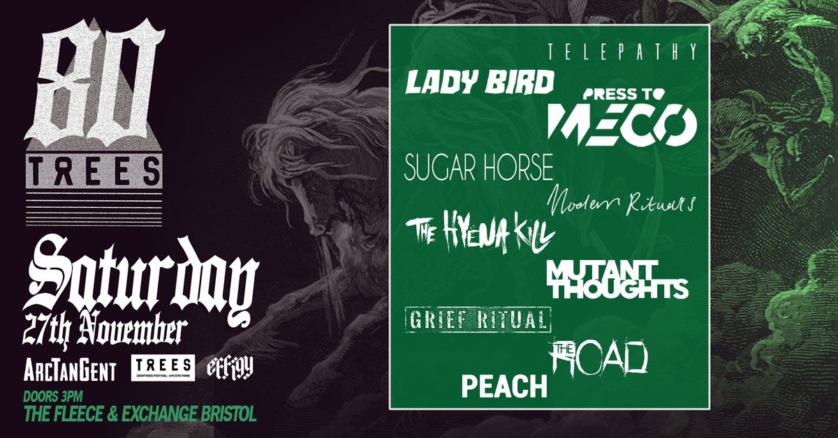 2000trees Festival tweet media