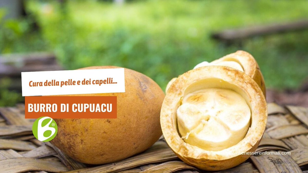 BenessereInfo's tweet photo. Il burro di Cupuaçu è in molti prodotti per la cura di pelle e capelli. Ottimo emulsionante per i cosmetici fai da te. Si può usare: per fare massaggi, come impacco per i capelli, come crema post depilazione, come crema idratante.
 L’avete già provato?
https://t.co/9TCD2M1gfC https://t.co/dtnT1wjKUP