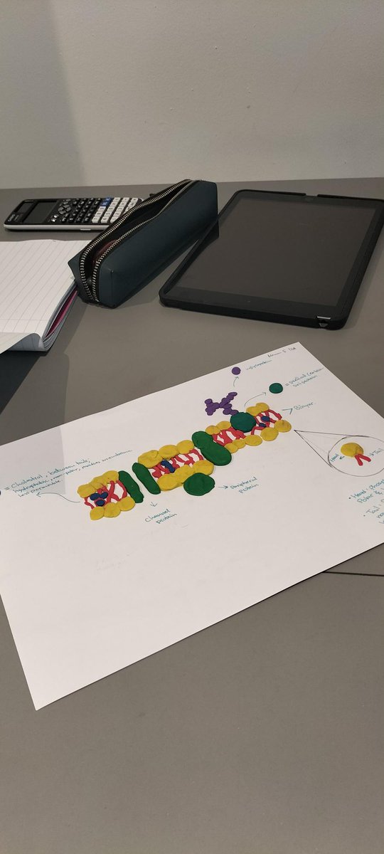 Science | Repton Abu Dhabi tweet media