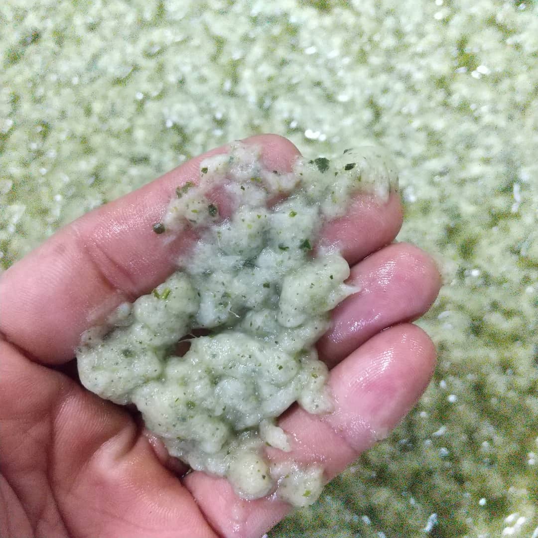 makuntsuji's tweet photo. バナナの次はお茶を原料にブレンド🍵
製紙工場らしかぬ、緑茶の良い香りが漂っています♪

#茶葉
#緑茶
#greentea

https://t.co/iJXGA7WQwm https://t.co/seScsyXTId