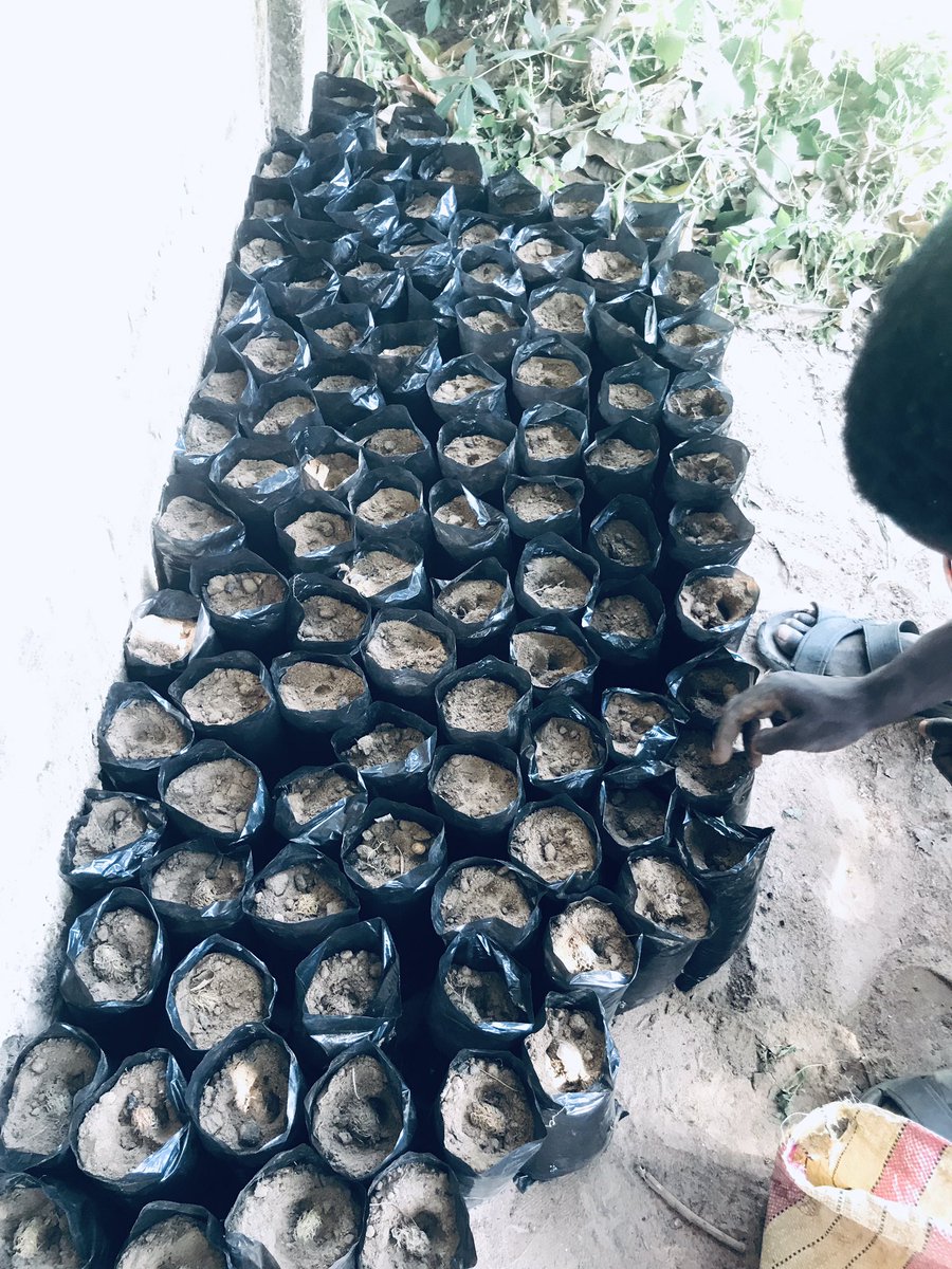 MungNyinii Farms tweet media