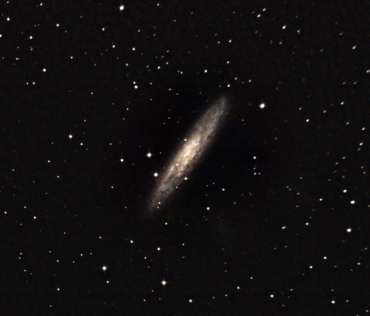 r_lovreglio's tweet photo. Tonight view of the #Sculptor #Galaxy from #Auckland #NewZealand 

Beautiful target to have fun with!
#Astrophotography #astronomy #Astronz https://t.co/QZTBuBZHQG