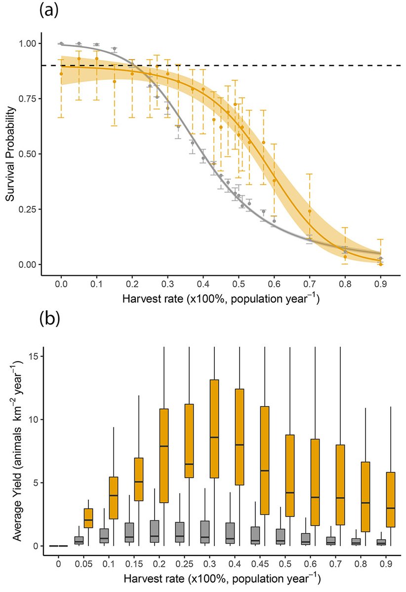 Tatsiana Barychka (@taniabarychka) on Twitter photo For data-deficient #bushmeat species, we estimated #sustainable harvest levels, bushmeat yields and #ecosystem-level impacts of harvesting using the Madingley General Ecosystem Model <a href="/DrewPurves/">Drew Purves</a> <a href="/GMMace/">Georgina Mace</a> <a href="/UCLCBER/">UCL Centre for Biodiversity & Environment Research</a> <a href="/NERCscience/">Natural Environment Research Council</a> <a href="/unepwcmc/">UNEP-WCMC</a> <a href="/LeverhulmeTrust/">The Leverhulme Trust</a> onlinelibrary.wiley.com/doi/10.1111/oi⦠For data-deficient #bushmeat species, we estimated #sustainable harvest levels, bushmeat yields and #ecosystem-level impacts of harvesting using the Madingley General Ecosystem Model <a href="/DrewPurves/">Drew Purves</a> <a href="/GMMace/">Georgina Mace</a> <a href="/UCLCBER/">UCL Centre for Biodiversity & Environment Research</a> <a href="/NERCscience/">Natural Environment Research Council</a> <a href="/unepwcmc/">UNEP-WCMC</a> <a href="/LeverhulmeTrust/">The Leverhulme Trust</a> onlinelibrary.wiley.com/doi/10.1111/oiā¦