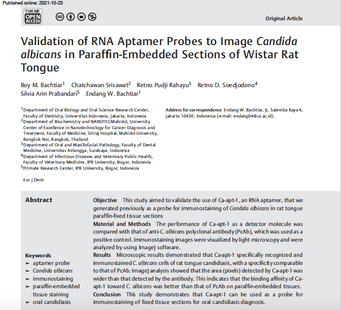 Eurjdent's tweet photo. European Journal of Dentistry
@edrbjournal @Nejdet_Adanir 
Validation of RNA Aptamer Probes to Image Candida albicans in Paraffin-Embedded Sections of Wistar Rat Tongue

Boy M. Bachtiar et al.

Open Access - Full-text article;

https://t.co/ZKYNcnxSYh https://t.co/EucvpDVOF6