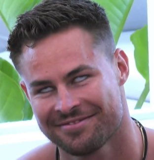 d381na's tweet photo. what are these girls actually seeing in ryan bc i don’t see it #LoveIslandAU https://t.co/4zDTnikO6A