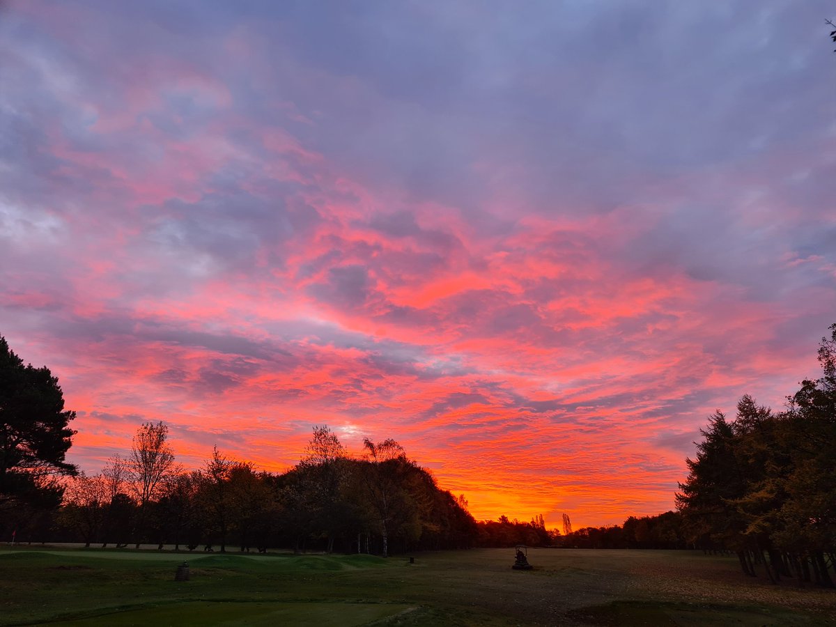 Howley Hall Greens Team tweet media
