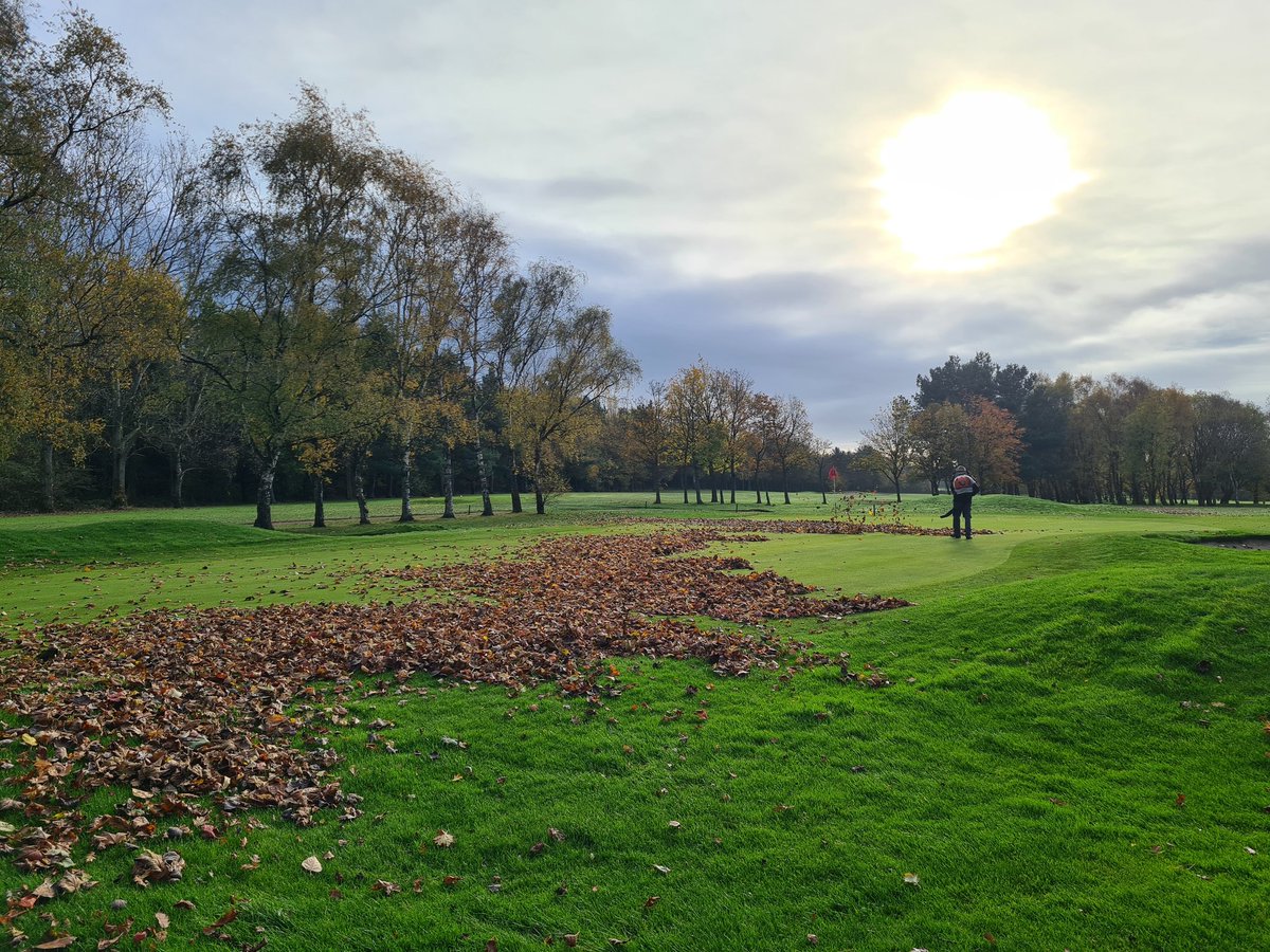 Cracking sunrise <a href="/HowleyGC/">Howley Hall GC</a> this morning. Greens getting a slit, fairway aeration continues with the 12th hole CLOSED and we continue chasing leaves around the course. 🍂🍁