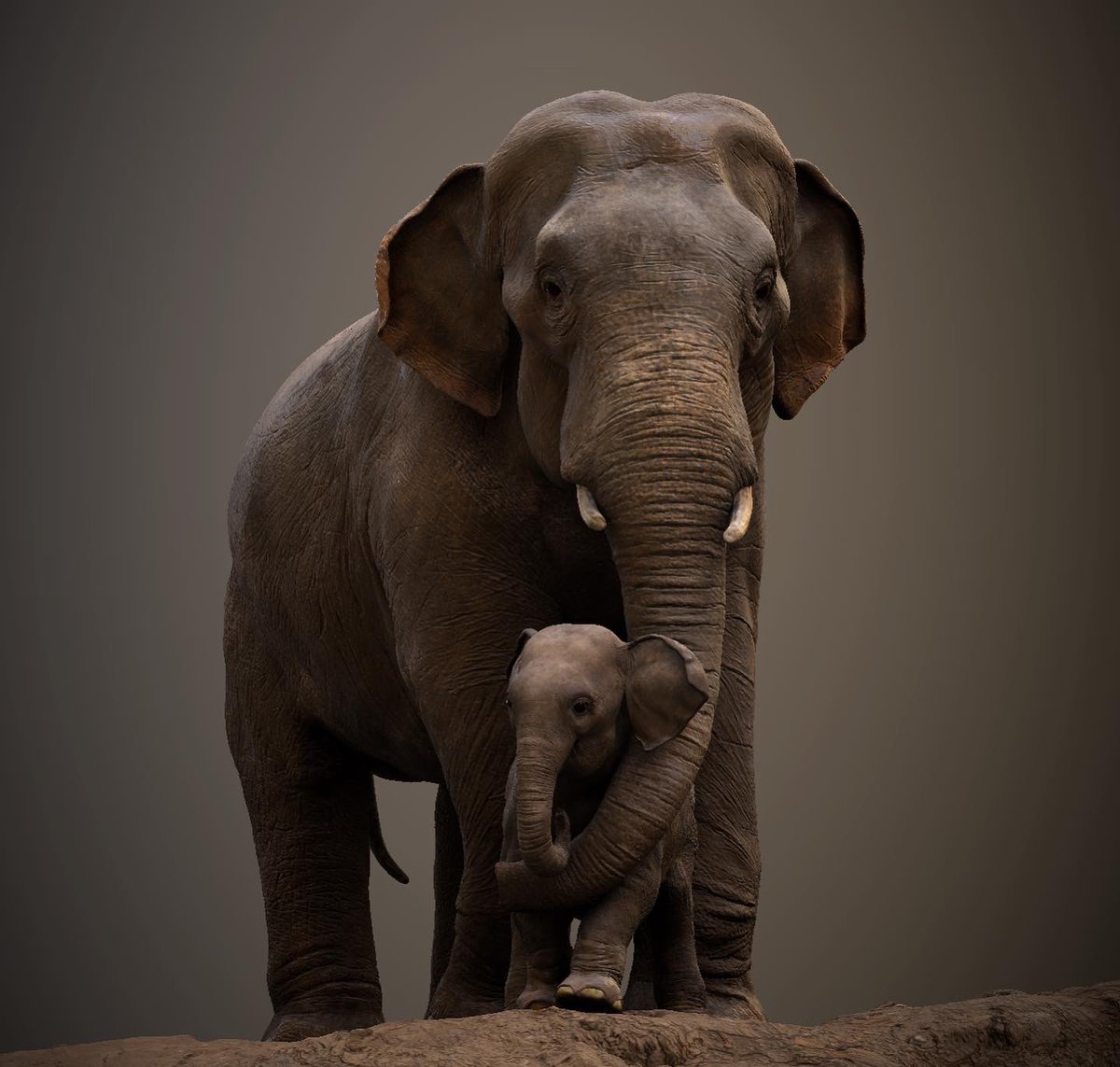 stephycreek's tweet photo. #RenderWithStager ! I made this scene, using the @Substance3D tools

Textured in #Substance3DPainter
Rendered in #Substance3DStager

Thank you @GioNakpil and @Substance3D for giving me this amazing opportunity! https://t.co/OlfPZT3o5d