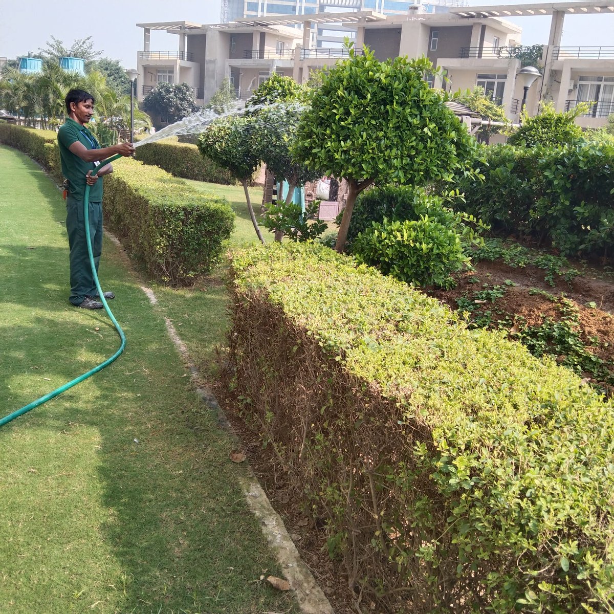 Dharm9971056932's tweet photo. @CPCB_OFFICIAL @hspcbrogrs @DC_Gurugram @cmohry @SethiRuchikaT @ShaktiLeads @timesofindia @DEEPAKKAHUJA @HTGurgaon @JagranNews We at Mapsko casabella doing our bit to control the pollution. Washing of trees and road by treated STP water. Requesting other societies to follow same https://t.co/kG1USXVsC5