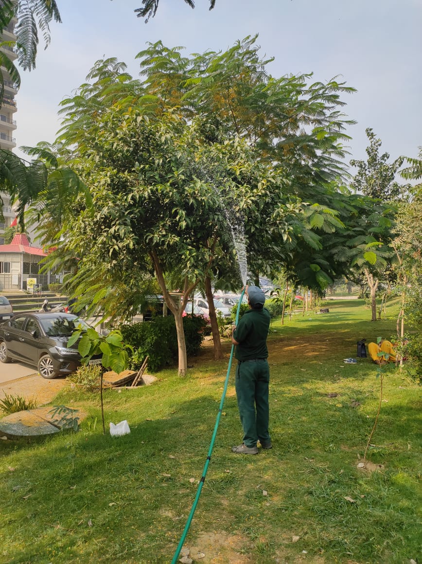 Dharm9971056932's tweet photo. @CPCB_OFFICIAL @hspcbrogrs @DC_Gurugram @cmohry @SethiRuchikaT @ShaktiLeads @timesofindia @DEEPAKKAHUJA @HTGurgaon @JagranNews We at Mapsko casabella doing our bit to control the pollution. Washing of trees and road by treated STP water. Requesting other societies to follow same https://t.co/kG1USXVsC5
