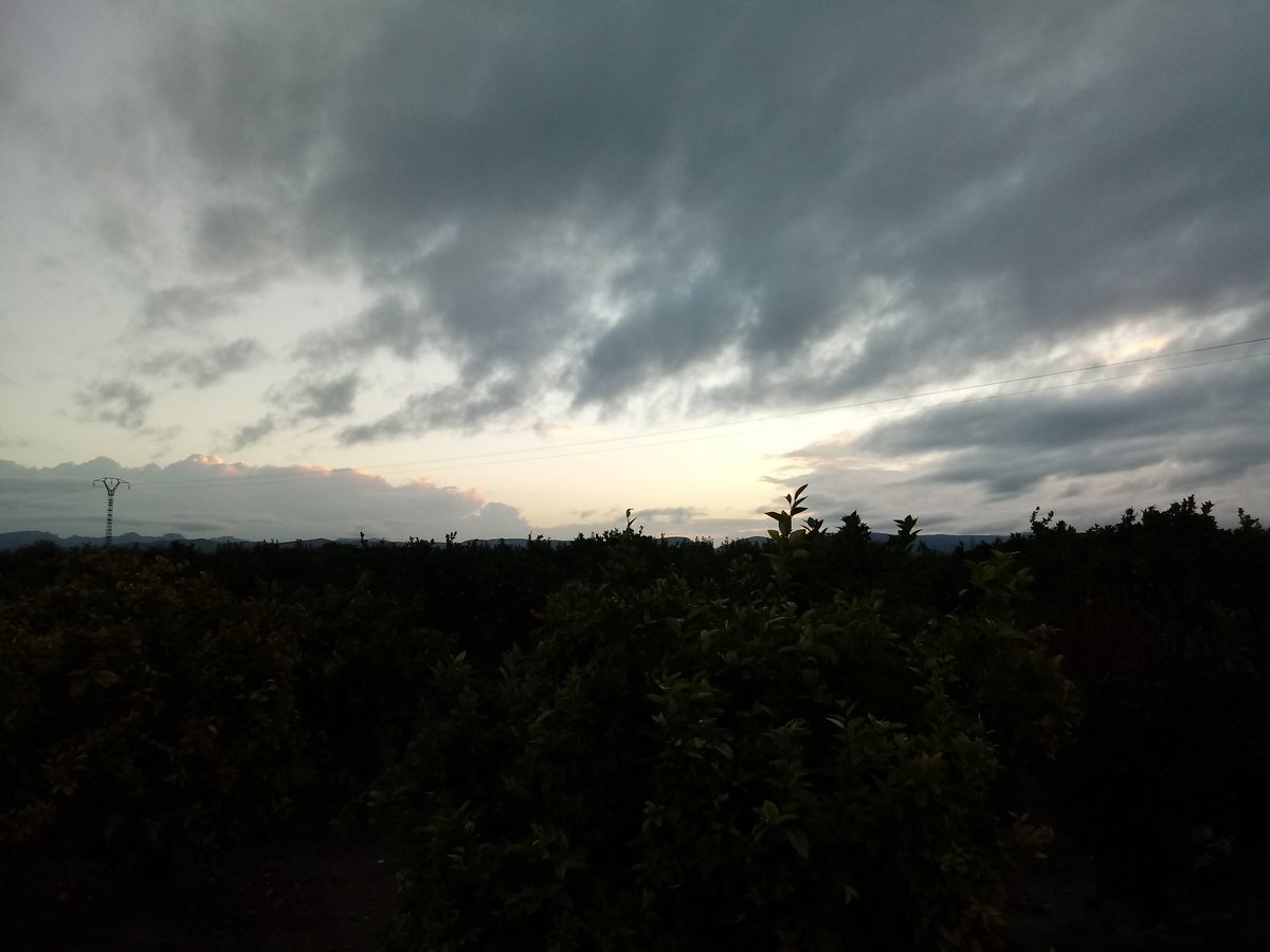 Desde la Pobla Llarga 

<a href="/Tiempo_Valencia/">☈⚡TiempoValència☔❄</a> <a href="/MeteoredES/">Meteored España</a> <a href="/tiempobrasero/">Tutiempo</a> <a href="/1967fct/">EL CLIMA EN TIEMPO REAL</a> <a href="/el_tiempohoy/">El Tiempo Hoy</a> <a href="/terravivaapunt/">Terra Viva</a> <a href="/apuntoratge/">À Punt Oratge</a> <a href="/oratgenet/">Oratgenet Jordi Payà</a> <a href="/OratgeCV/">Oratge CV</a> <a href="/AEMET_CValencia/">AEMET Comunitat Valenciana</a> <a href="/Nandobagil/">@Meteopoble</a> <a href="/MeteoElRealon/">Meteoelrealon</a> <a href="/MNievesSanchez1/">MNieves Sanchez 🌼⛅🌞🌛🌈📸</a> <a href="/minervagra/">Minerva GG</a>