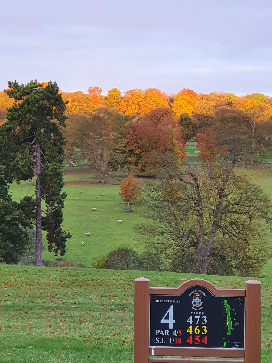 stokegreenstaff's tweet photo. Beautiful morning @StokeRochfordGC busy setting the course up for the 1st #winterroleup . Play well all &amp; enjoy. #yourcourse #greenkeeping https://t.co/ZtQseLwKhj
