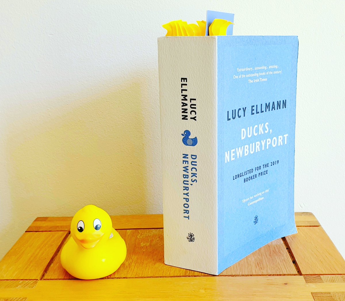 elspells13's tweet photo. I got behind on Ducks, Newburyport (reading a section a month) so I've been catching up the last few days, and I swear, it's changed my thought patterns - everything starts with "the fact that..."
#amreading @GalleyBeggars #DucksNewburyport #thefactthat #BookTwitter #booktwt https://t.co/doQnkDva3A