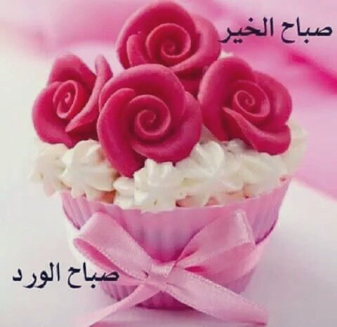 جمع الله لي ولكم خيرهذا اليوم وخيرمافيه وخيرما أقبل وخيرما أدبر وخيرما تعلمون وخيرما لا تعلمون وصرف عني وعنكم كل سوء ومكروه.
وجعلنا من أوليائه الأبرار وأصفيائه الأخيار 
وأدام علينانعمه ظاهرةًوباطنه.
وغفرلي ولكم ولوالدينا
وجعلنا من شفعاءسيد الأنام عليه الصلاة والسلام.
صباح الخير❤️
