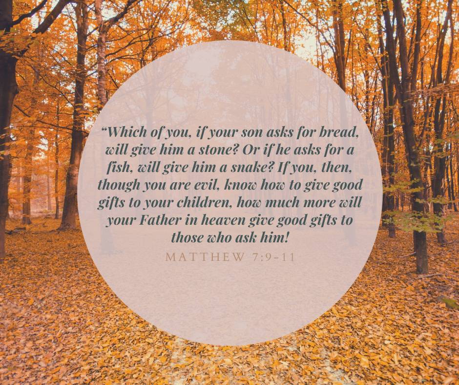 BSFWestlandsYA's tweet photo. God wants us to approach Him like a dearly loved child approaching a good loving parent . We can have joyful confidence that God our Father seeks our best interest . 

#WeareBSF #verseoftheweek #bsfwestlandsya https://t.co/dGod10L2yD