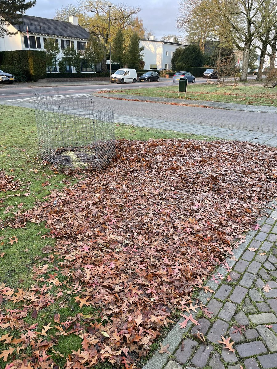 henkgoos's tweet photo. Prachtig initiatief @Gemeente_Dongen, maar lijkt me kleine moeite om blad eromheen ook ff op te zuigen https://t.co/s3DUaSh6x8