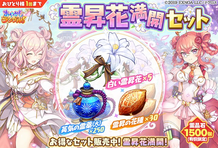 67%以上節約 花満開 セット i9tmg.com.br