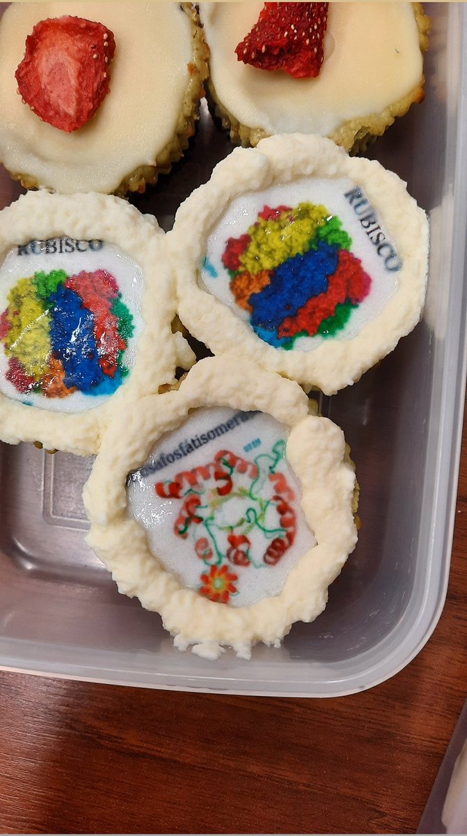 spiwokv's tweet photo. Cakes with cellulase, COX1/2, rubisco and other #structuralbiology, thanks to our lab!!! https://t.co/qqwj5T8R74
