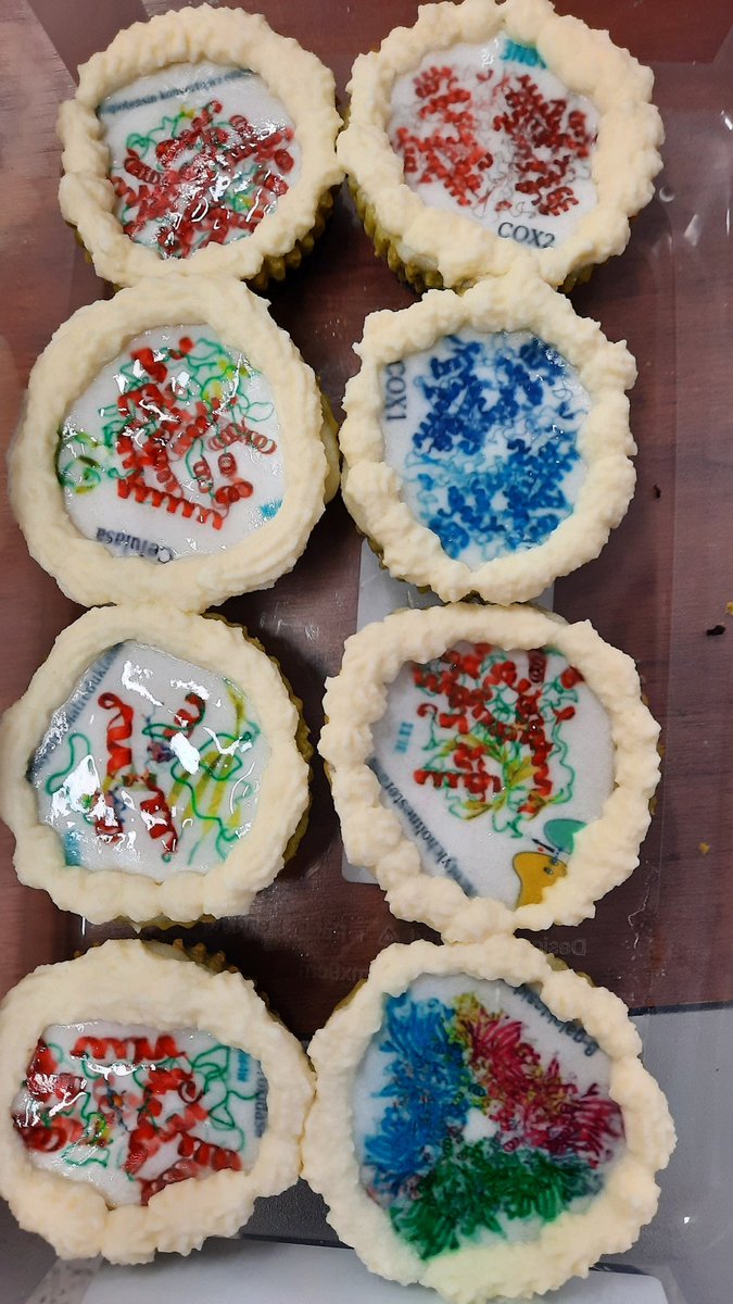 spiwokv's tweet photo. Cakes with cellulase, COX1/2, rubisco and other #structuralbiology, thanks to our lab!!! https://t.co/qqwj5T8R74
