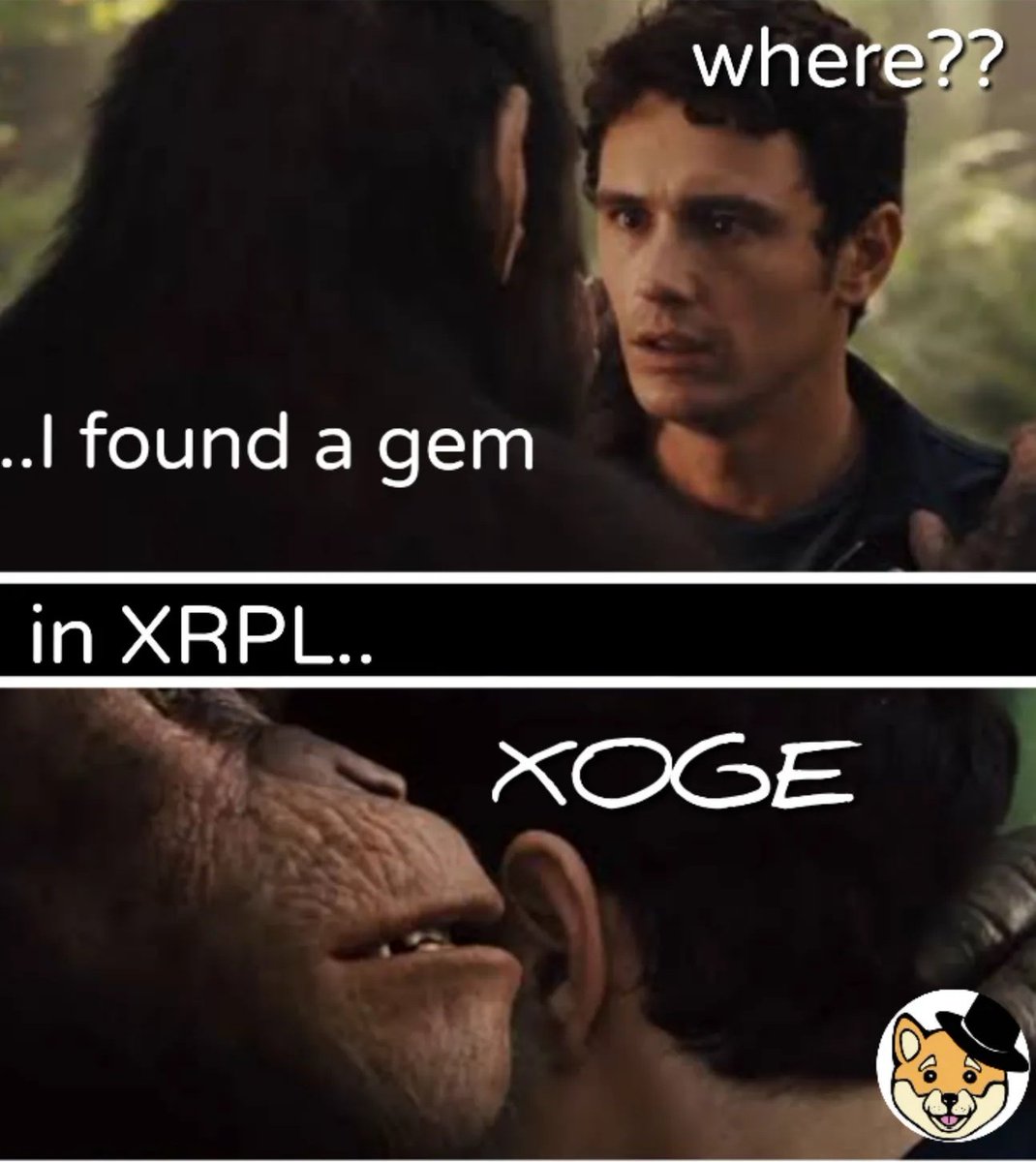 AkoSiMariaL's tweet photo. @NoOneCa13918207 My meme here..
@NoOneCa13918207

Address Here:

rphuHui7CrQxF7TGv5sggLJAD6p9JbvVRs

Lezzgo! @amitkejriwal01 @XUMMcally @maria_savre 
#meme #XRPArmy 
#XRPCommunity #XogeArmy https://t.co/L6Yg6F8wKD