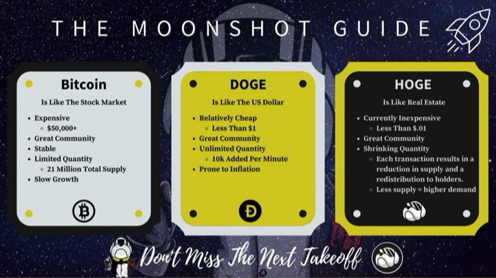 Dan18196146's tweet photo. @CoinPopOrg #HOGE all the signs point towards #HOGE #memecoin https://t.co/uoQ6JqnqOQ