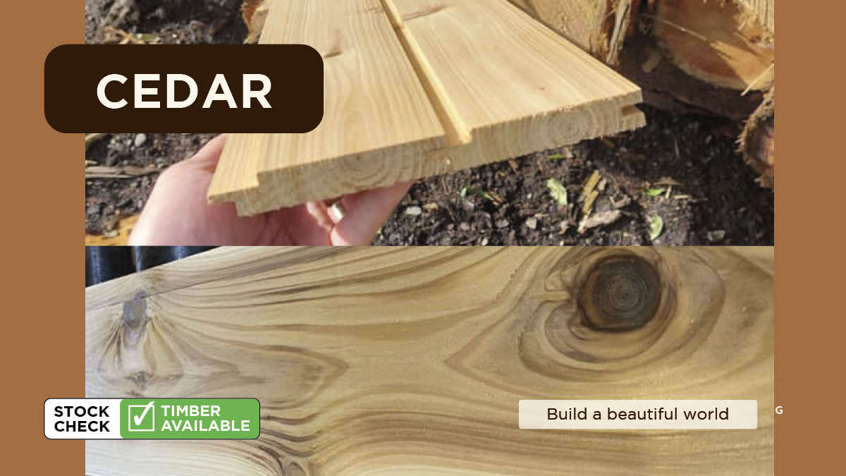 larch_co's tweet image. CEDAR: The Facts. It’s sustainable.
In terms of environmental performance, Cedar is superior to many human-made materials and products and is obviously biodegradable so it ticks the environmental friendly box too. 
#WePlantTrees #UkTimber #CedarCladding
