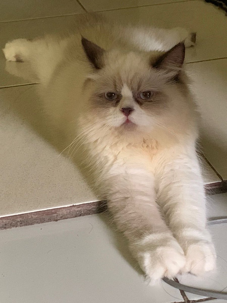 saturnu2077🌙 (@bxngtancult)  Twitter