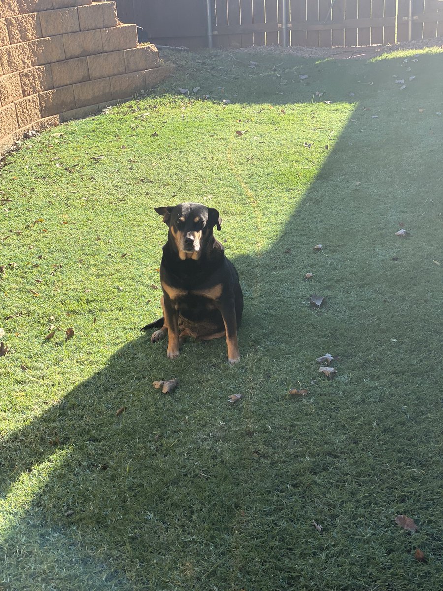 Stormcloud tweet media